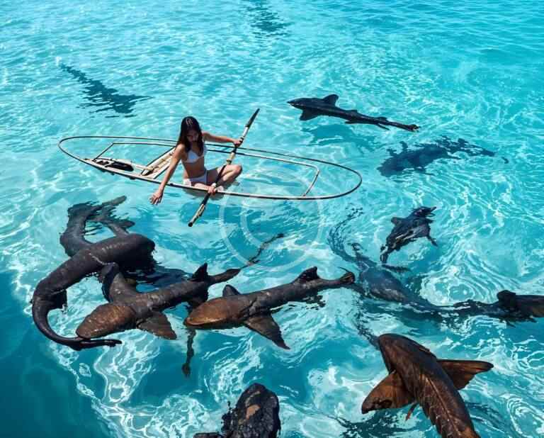 Private island: find the perfect place to relax